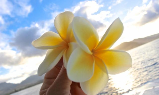 ハワイ旅行で覚えておきたいハワイ語ベスト5　のアイキャッチ画像